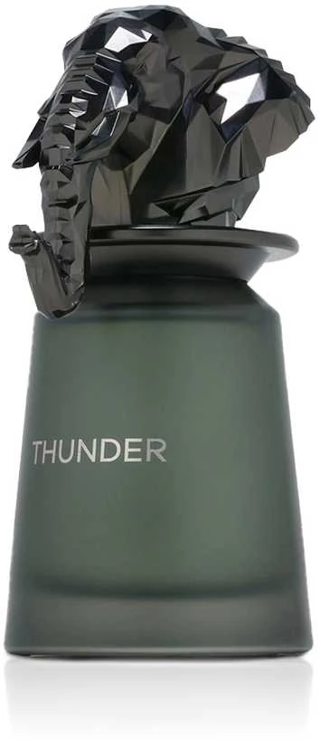 French Avenue Thunder EDP parfumuotas vanduo unisex, 100 ml