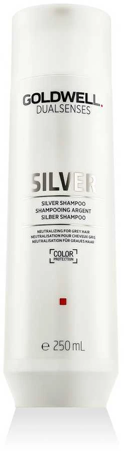 Goldwell Dualsenses Sidabrinis Šampūnas Šampūnas pilki plaukai 250ml
