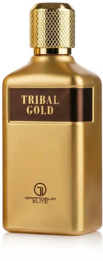 Grandeur Tribal Gold EDP parfumuotas vanduo vyrams, 100 ml
