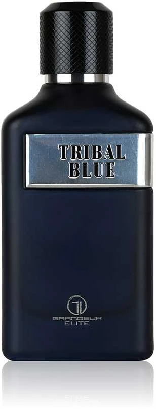 Grandeur Tribal Mėlyna EDP parfumuotas vanduo vyrams, 100 ml
