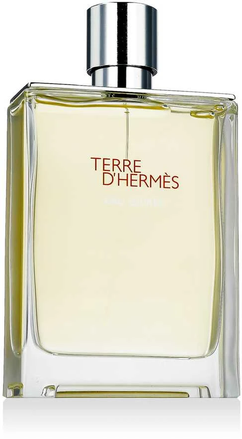 Hermès Terre D’hermès Eau Givrée EDP Purškiklis Papildomas, 175 ml