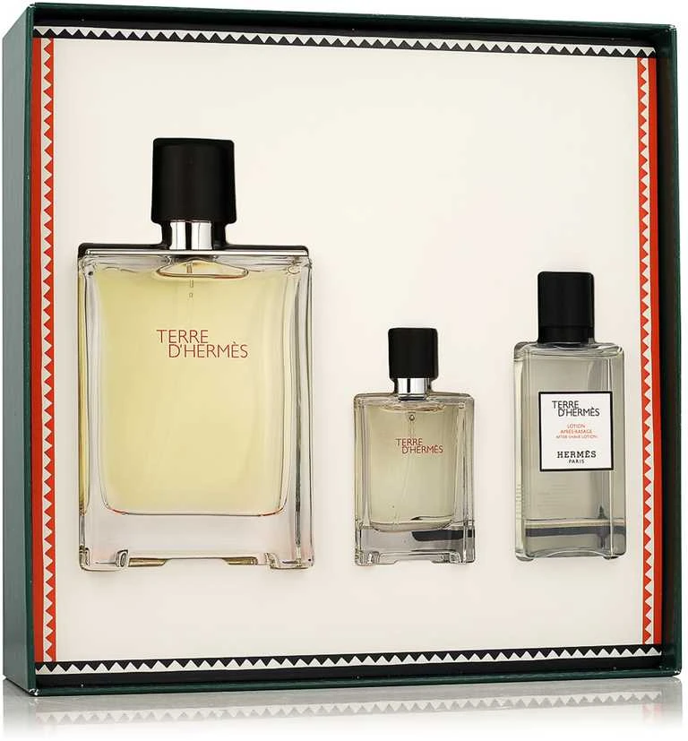 Terre DHermes Eau De Toilette Purškiklis 100ml rinkinys vyrams 3 vnt