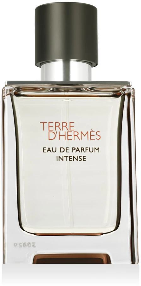 Hermes Terre D'Hermes Eau Intense Vetiver EDP parfumuotas vanduo vyrams, 50 ml