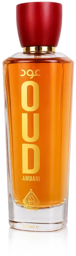 House Of Perfumes Oud Ambari EDP parfumuotas vanduo unisex, 100 ml