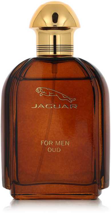 Jaguar Oud For Men EDP parfumuotas vanduo vyrams, 100 ml