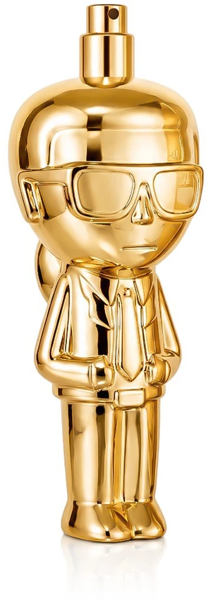 Karl Lagerfeld Ikonik Absolu PP kvepalai moterims, 60 ml