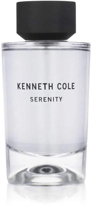 Kenneth Cole Serenity EDT tualetinis vanduo vyrams, 100 ml