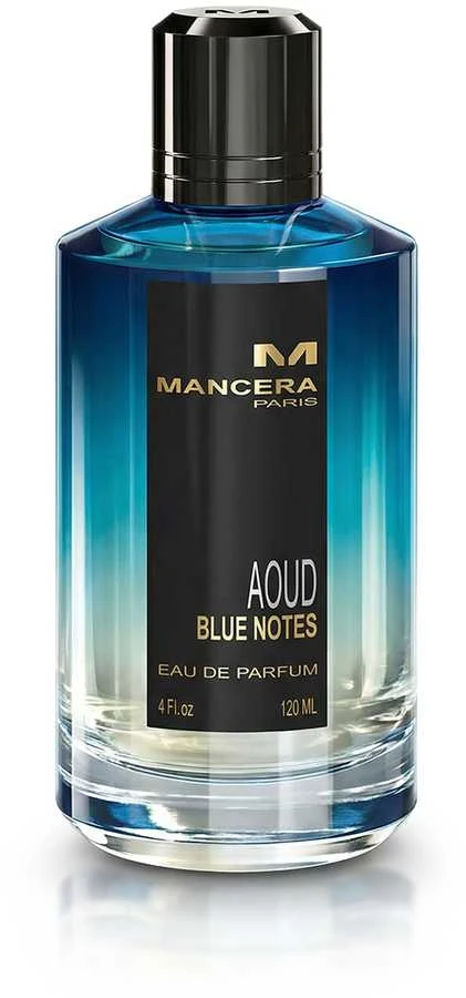 Mancera MANCERA Aoud Mėlyna Notes EDP purškalas 120ml