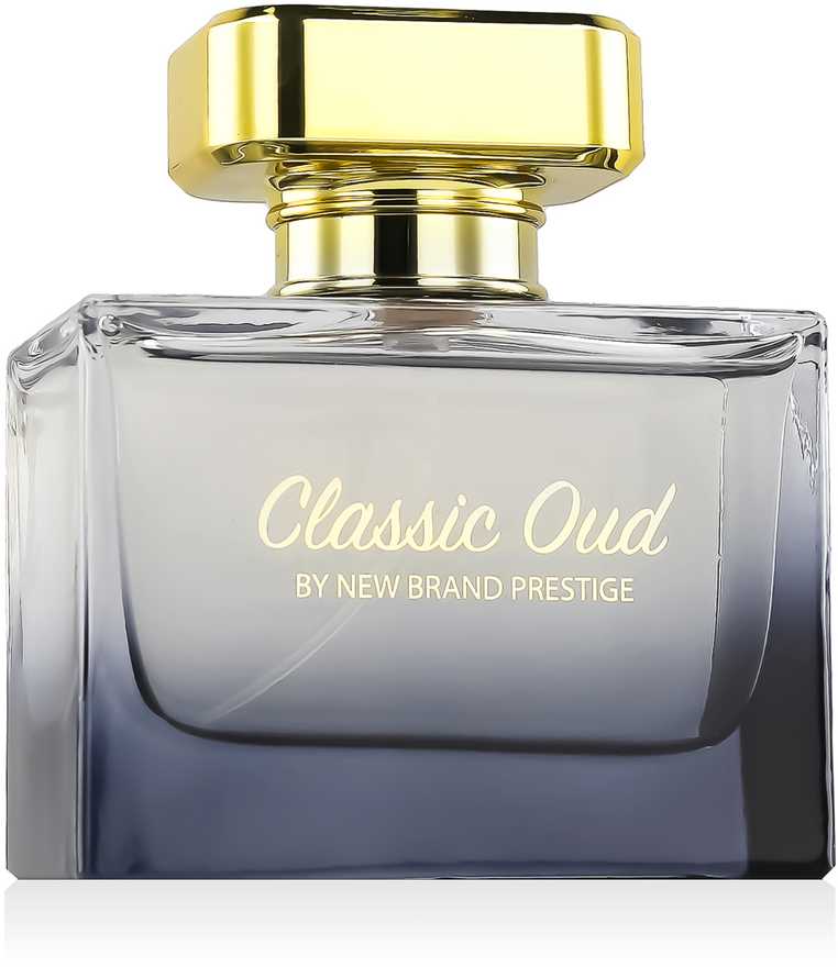New Brand Prestige Classic Oud EDP parfumuotas vanduo moterims, 100 ml