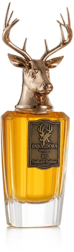 Pana Dora XVI EDP parfumuotas vanduo unisex, 100 ml