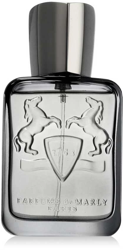 Parfums de Marly Castley EDP parfumuotas vanduo vyrams, 75 ml