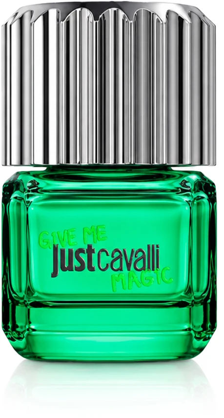 Roberto Cavalli RC Just Cavalli Gmm For Him EDT kvepalai vyrams, 30 ml