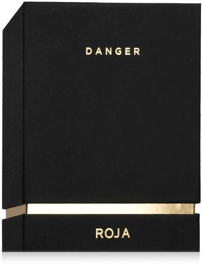 Roja Parfums Danger Pour Homme EDP parfumuotas vanduo vyrams, 100 ml