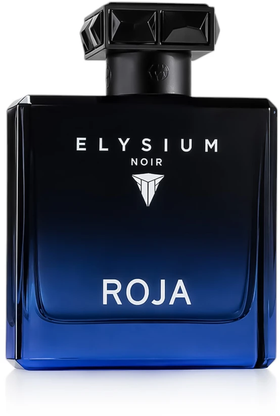 Roja Parfums Elysium Noir EDP parfumuotas vanduo vyrams, 100 ml