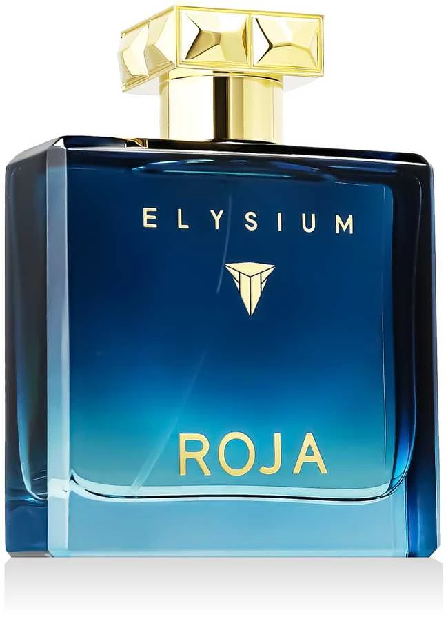 Roja Parfums Roja Elysium Pour Homme EDP parfumuotas vanduo vyrams, 100 ml