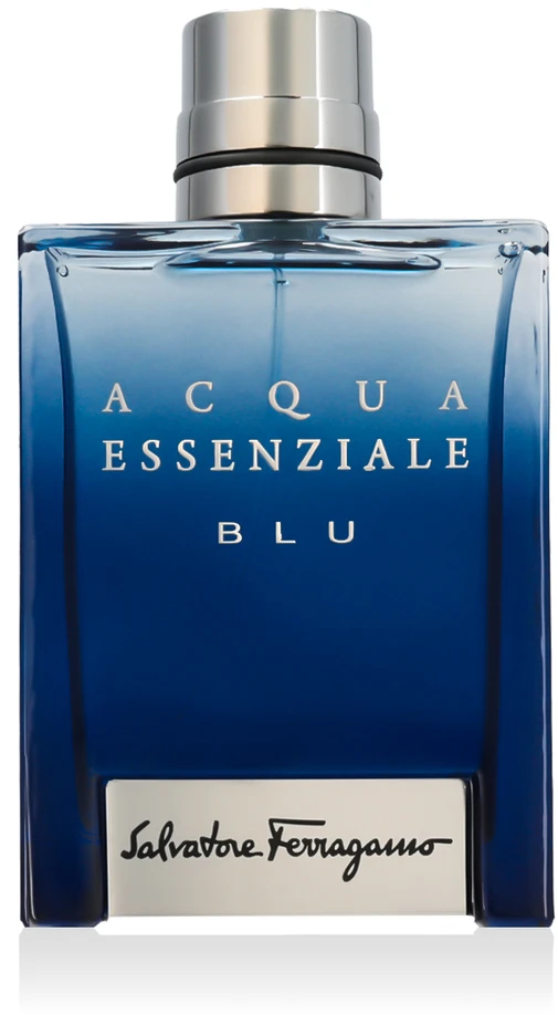 Salvatore Ferragamo Acqua Essenziale Blu EDT tualetinis vanduo vyrams, 100 ml