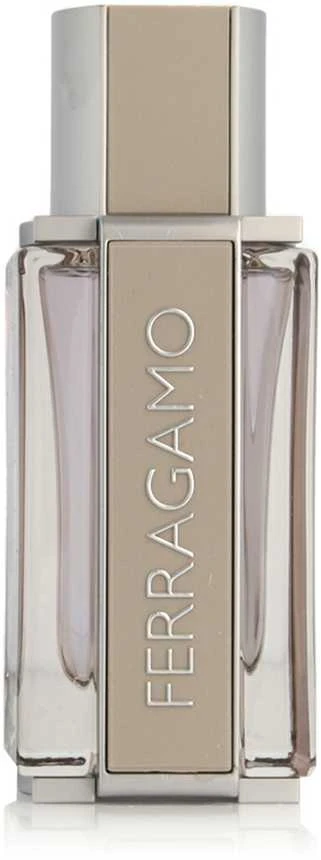 Salvatore Ferragamo Bright Leather Homme tualetinis vanduo Vyrams 50ml