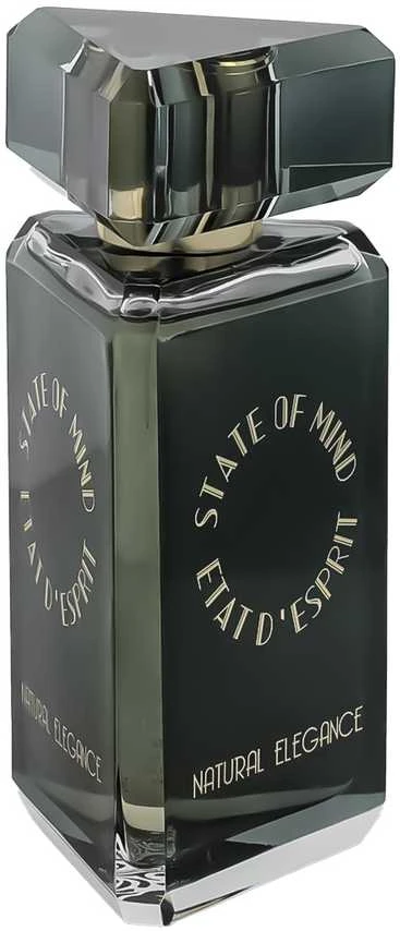 State Of Mind Natural Elegance EDP parfumuotas vanduo unisex, 100 ml