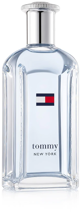 Tommy Hilfiger New York EDT tualetinis vanduo vyrams, 100 ml