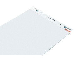Konferencijų bloknotas ESSELTE, 590 x 830 mm, lygus, 50 lapų