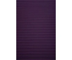 Plisuotos žaliuzės PLI 2407 45cm x 145cm
