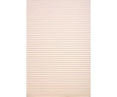 Plisuotos žaliuzės PLI 2713 75cm x 200cm