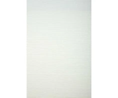 Plisuotos žaliuzės PLI 5003 75cm x 155cm