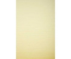 Plisuotos žaliuzės PLI 5004 75cm x 200cm