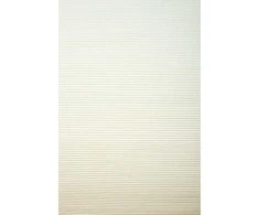 Plisuotos žaliuzės PLI 5005 75cm x 200cm