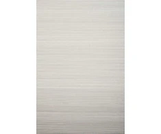 Plisuotos žaliuzės PLI 5007 95cm x 155cm