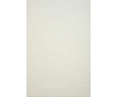 Plisuotos žaliuzės PLI 6009 75cm x 155cm