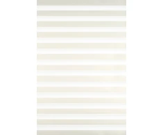 Roletai diena-naktis BH-1102 65cm x 160cm