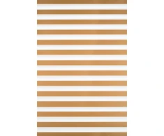 Roletai diena-naktis BH-1104 65cm x 160cm