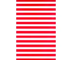 Roletai diena-naktis BH-1106 70cm x 205cm