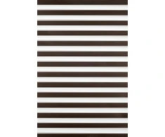 Roletai diena-naktis BH-1113 65cm x 160cm