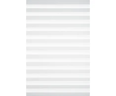 Roletai diena-naktis BH-1301 90cm x 205cm