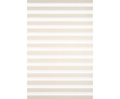 Roletai diena-naktis BH-1302 65cm x 160cm