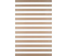 Roletai diena-naktis BH-1305 40cm x 160cm