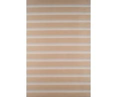 Roletai diena-naktis BH-1305 70cm x 205cm