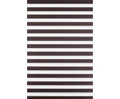 Roletai diena-naktis BH-1307 65cm x 160cm
