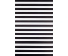 Roletai diena-naktis BH-1308 90cm x 205cm