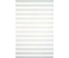 Roletai diena-naktis BH-1309 40cm x 160cm