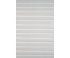Roletai diena-naktis BH-1310 65cm x 160cm