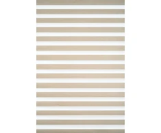 Roletai diena-naktis BH-1402 65cm x 160cm