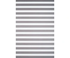 Roletai diena-naktis BH-1406 110cm x 205cm