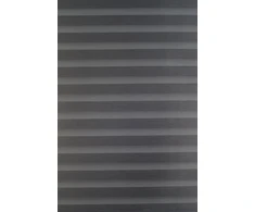 Roletai diena-naktis BH-43 40cm x 160cm