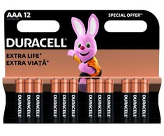 Duracell Basic AAA 12vnt.