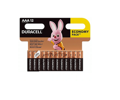 Duracell Basic AAA 8vnt.