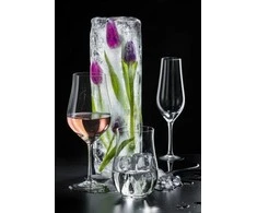 Crystalex Šampano taurės Tulipa 170ml 6vnt