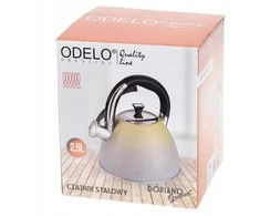 Kamille Virdulys 2,5l,nerūdijantis plienas, dvispalvis, Doriano